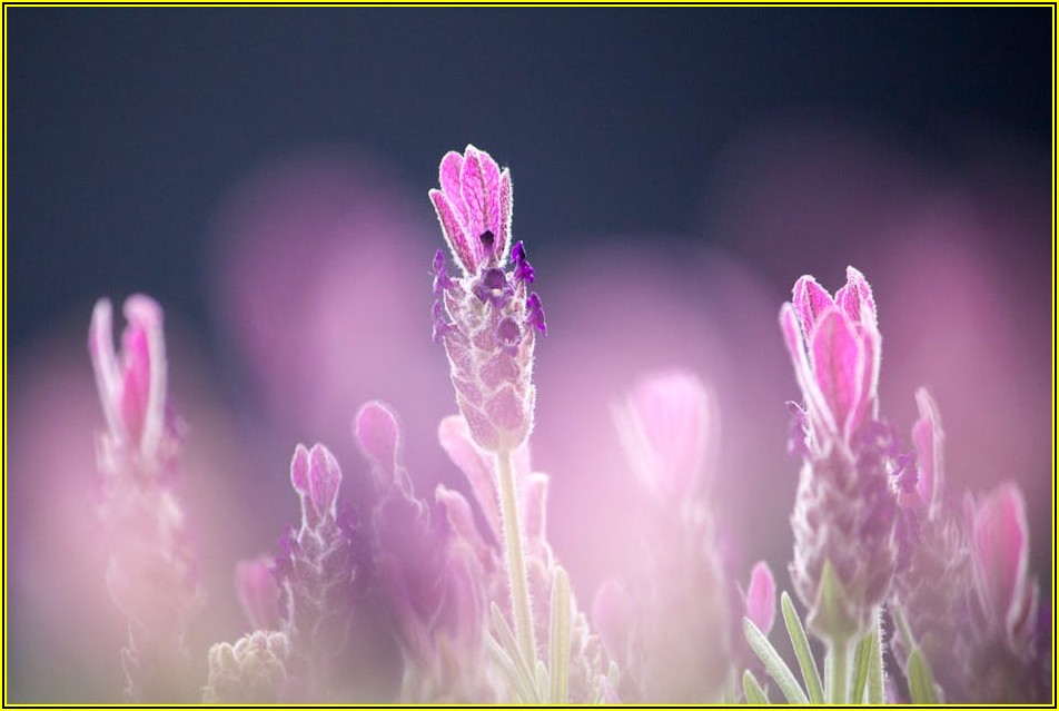 한약 파우치, 변질 징후 놓치면 위험! 폐기 방법 알아보기