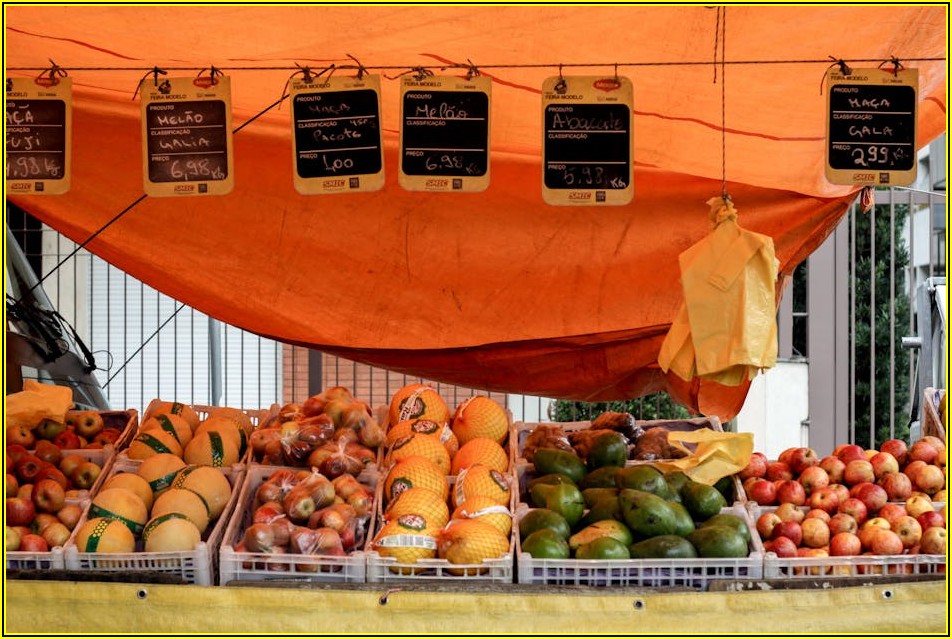 현명한 덤웨이터 구매법: 가격, 기능, 유지보수 비교 분석