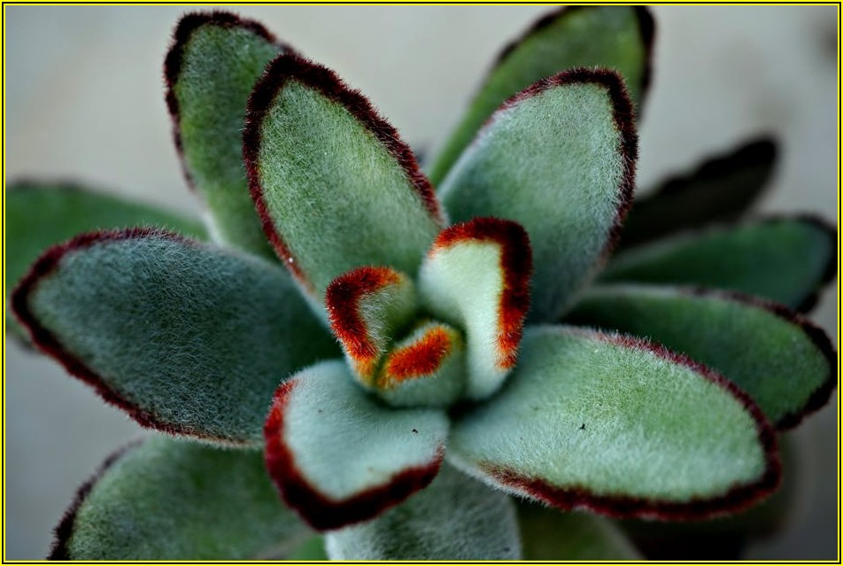 실속 있는 내 집 마련, 소형 주택 구매 시 필수 체크리스트