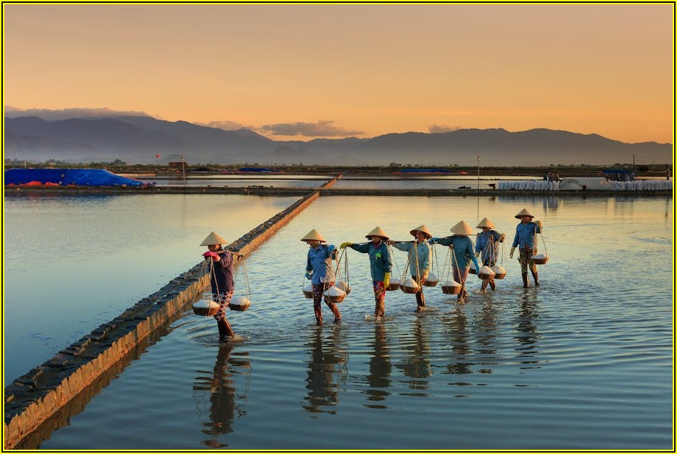 노무 문제, 공인노무사 선임 시 후회 없는 선택 가이드