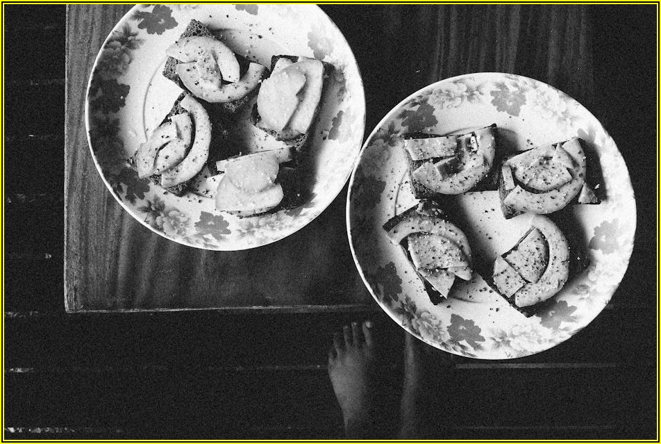 LG 48GQ900, 가격부터 구매 꿀팁까지 완벽 정리