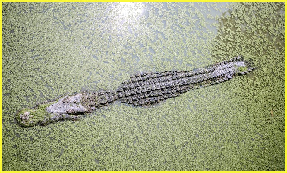 대구 이사 준비, 버릴 것들 걱정 없이 처리하는 법