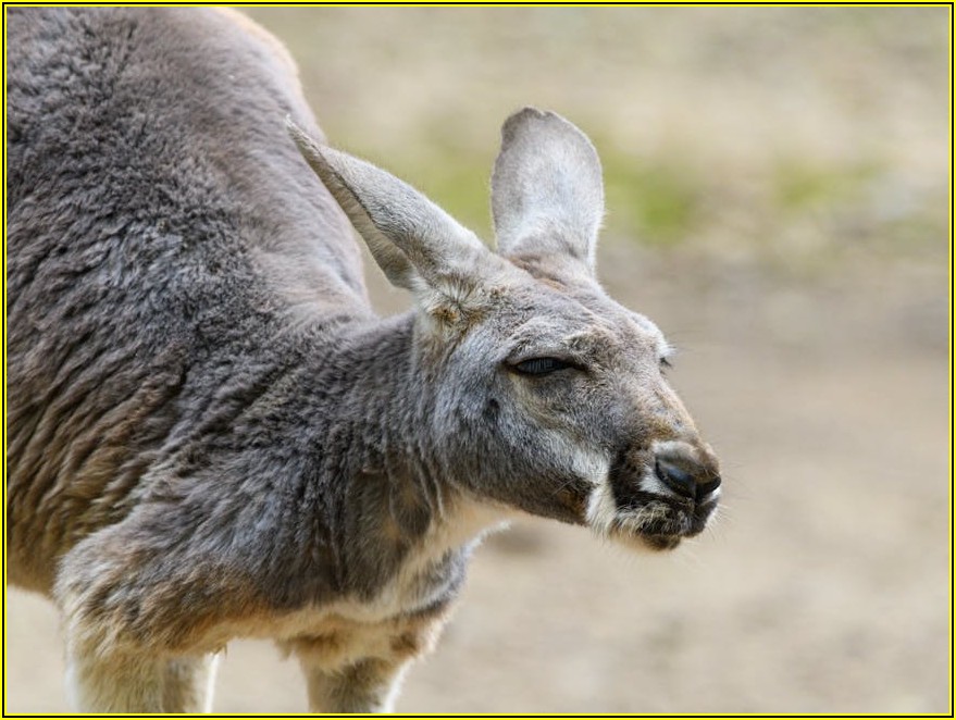 이어폰 분실 방지! 필수템 파우치 활용 꿀팁