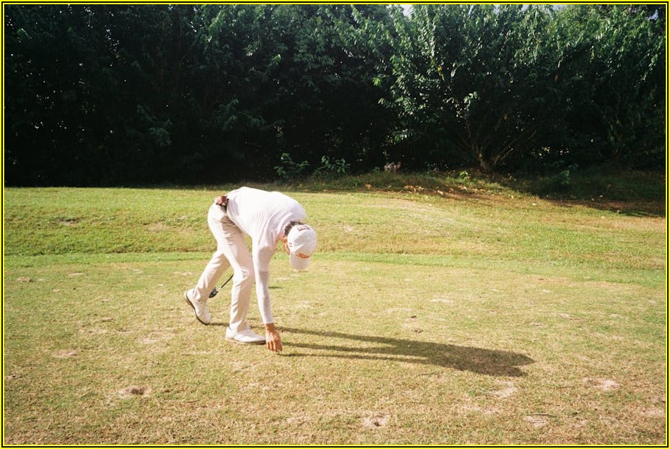 대구 파크골프 스크린: 당신의 실력을 한 단계 업그레이드