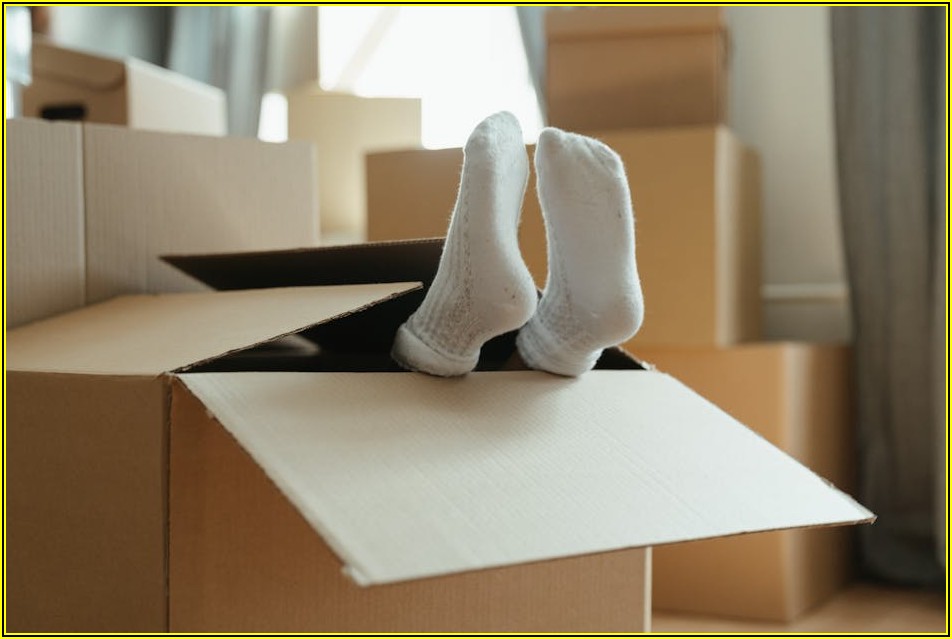 마카롱 박스, 처음 맛 그대로 즐기는 보관 노하우