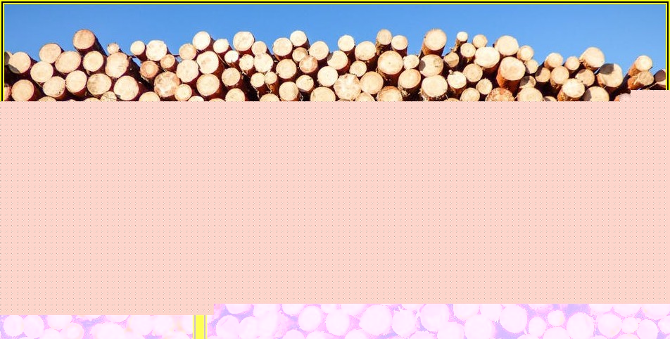 프라즈마 절단, 작업 효율 높이는 비법 공개