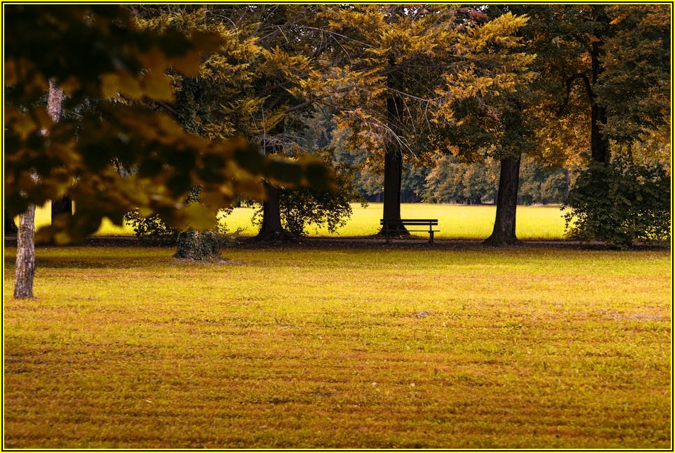 디에이션파크 투자, 수익률 극대화 전략 분석