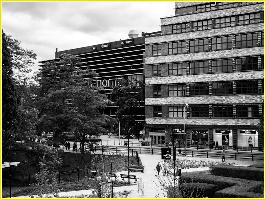 비즈니스 영어 회의 마스터하기: 토론, 협상, 소통의 모든 것