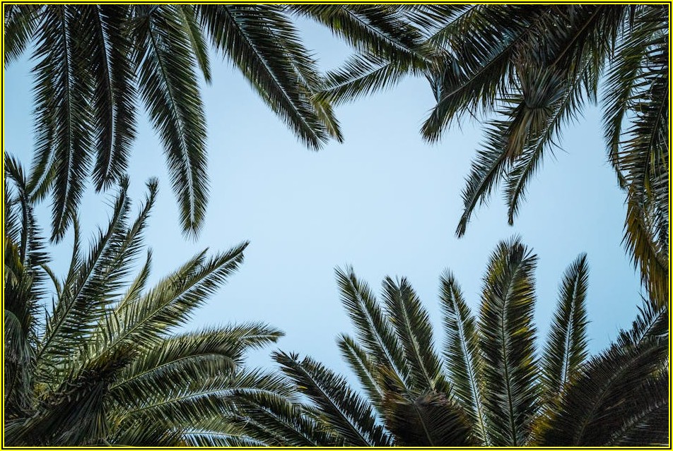 나만의 감성 담은 포토존 프레임, 이렇게 만들어요!