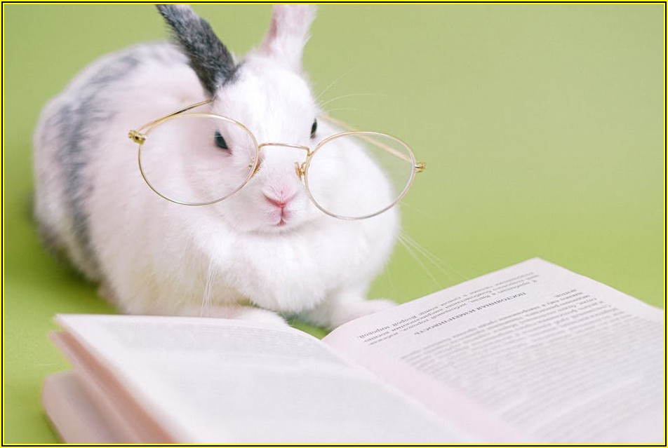 동심 가득 토끼 조형물, 아이와 함께하는 특별한 하루