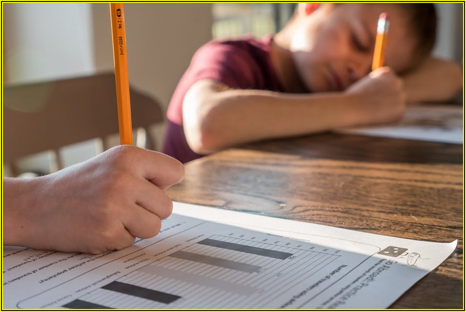 무료 BIG5 검사부터 전문가 유료 검사까지, 모든 것 공개