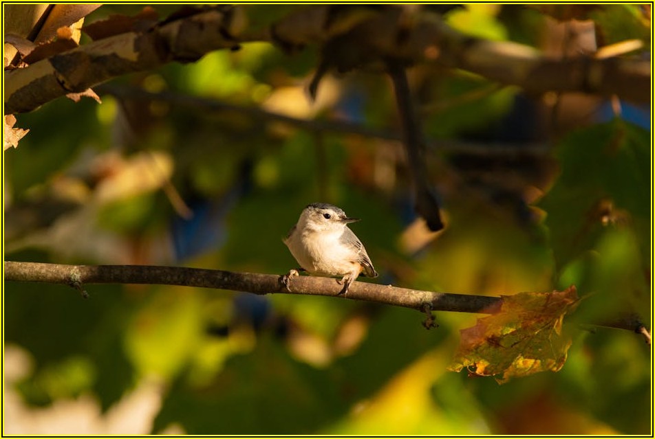 나스닥 100 ETF, 개인 투자자의 든든한 자산 증식 파트너
