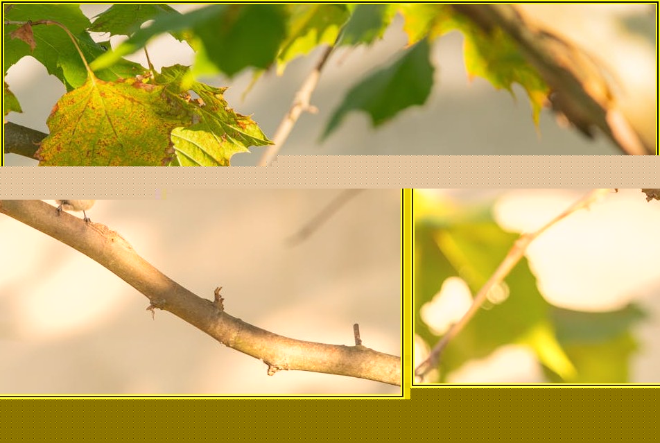 나스닥 100 ETF, 성공 투자를 위한 실전 전략 공개