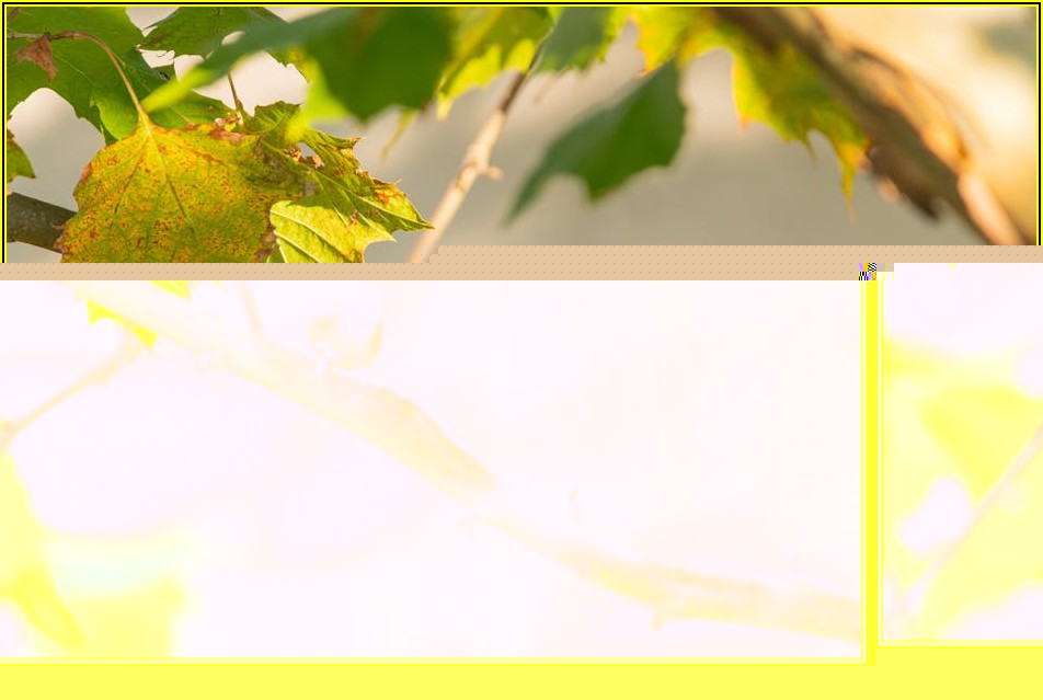 나스닥 100 ETF, 똑똑한 개인 투자자를 위한 핵심 전략