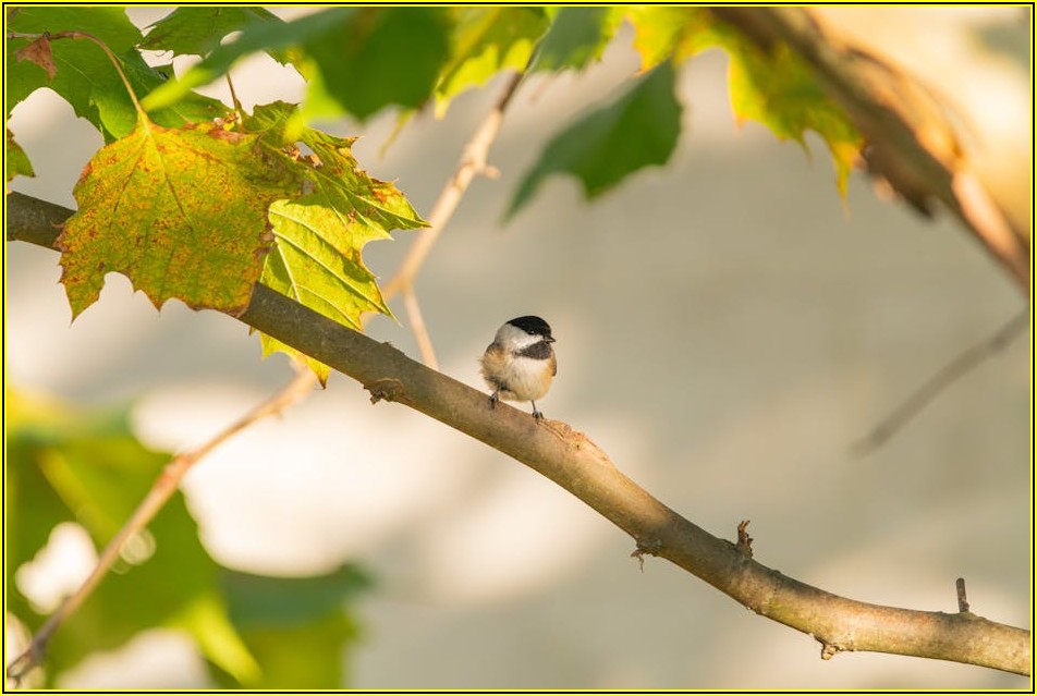 컴퓨터 학원 선택, 수강료 말고 이것까지 체크!