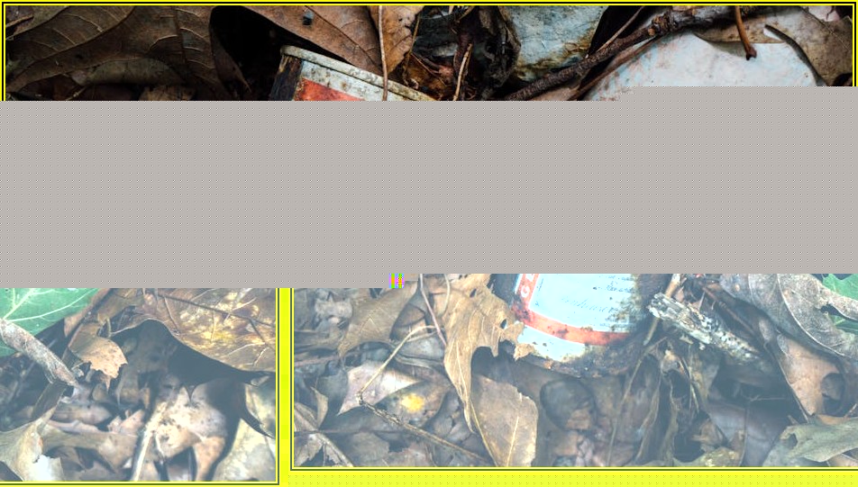 WEEE 폐기물 처리, 환경 보호를 위한 필수 절차