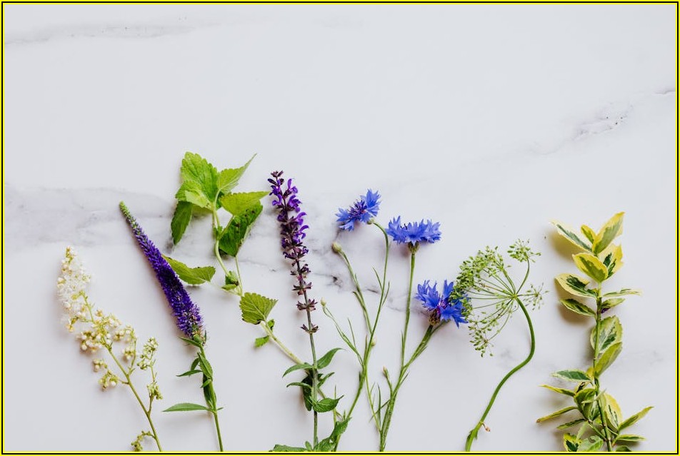 심리상담 비용, 얼마가 적당할까? 현실적인 가이드