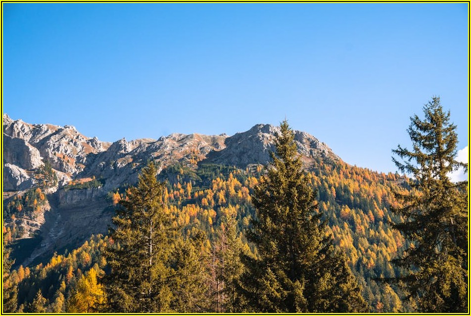 치매 배회감지기, 어르신 안전 지키는 필수 관리법