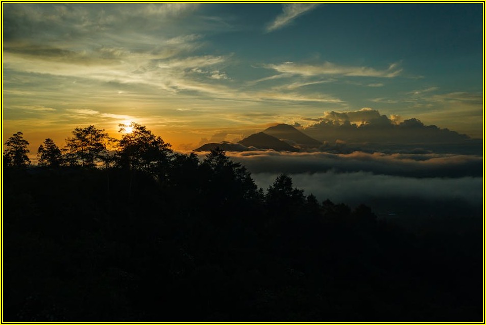 돋보이는 사원증 사진, 규정 맞춰 촬영하는 비법