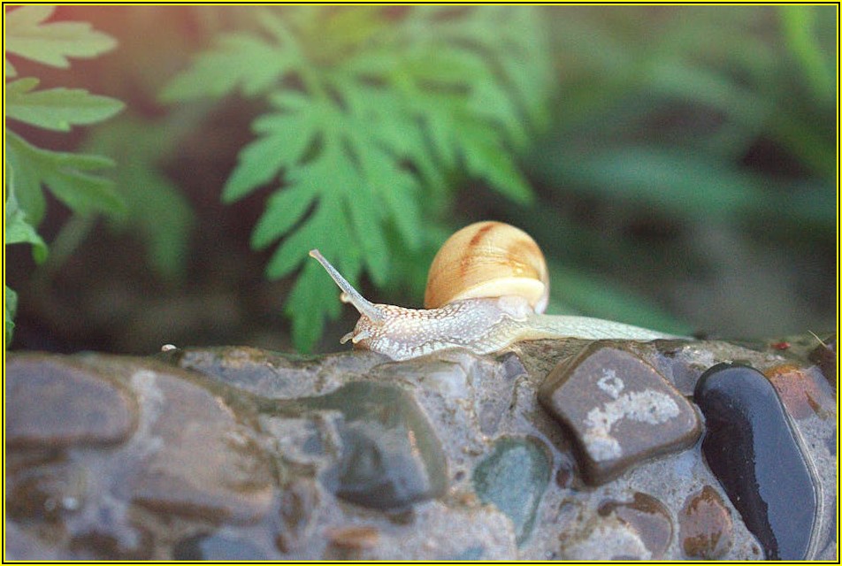 웹 크롤링으로 시작하는 나만의 데이터베이스 만들기