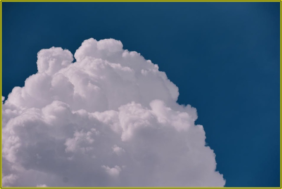 아이들 웃음꽃 활짝! 에어바운스 대여로 잊지 못할 추억 만들기