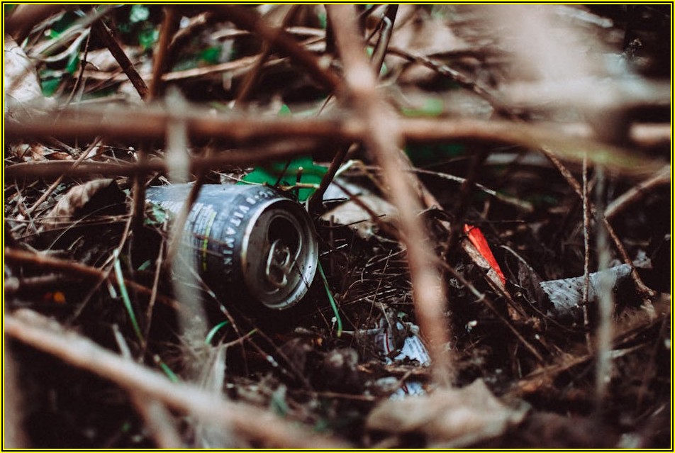 낯선 껀터, 똑똑하게 여행하는 교통 및 준비법