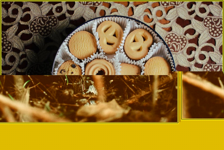 껀터 여행, 헤매지 않고 즐기는 교통 정보 완벽 분석