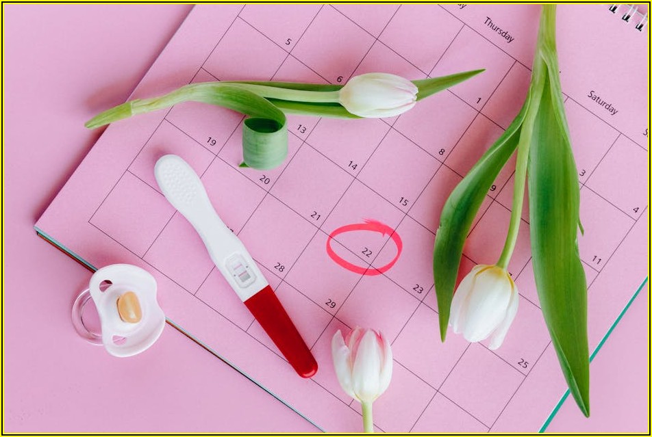 생명보험 종류별 특징 파헤치기: 최고의 선택을 위한 안내