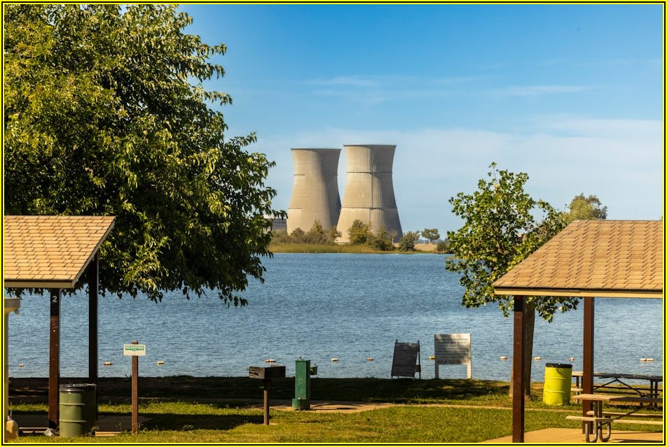 우리 집 마당을 위한 천연 잔디 완벽 가이드