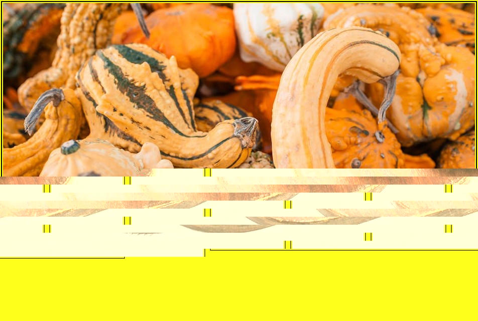 남대문시장 혼밥/혼술 점심, 실패 없는 맛집 리스트