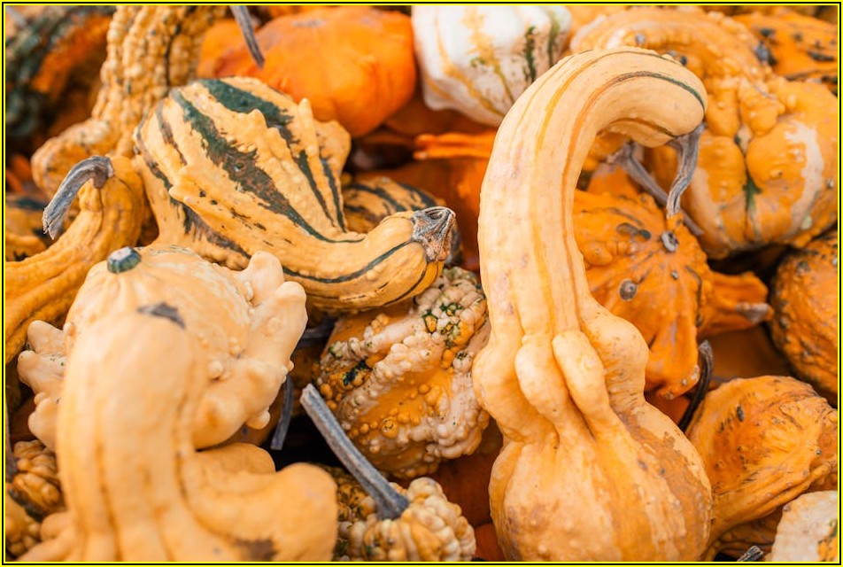 혼자 즐기는 남대문시장 점심, 이색 혼밥/혼술 맛집 탐방