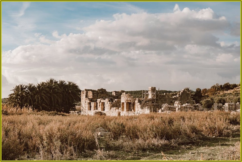 설문조사 사이트 활용법: 재택 부업의 모든 것