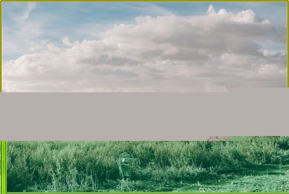 설문조사 사이트 활용법: 재택 부업의 모든 것