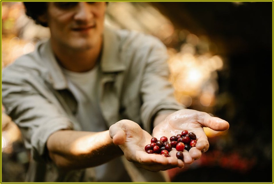 포맥스 제작 가이드: 원하는 크기와 형태로 만들기