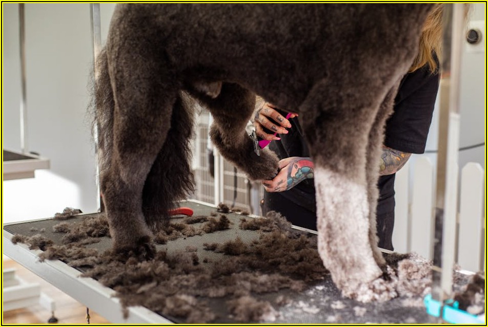 미용실 인수/양도, 궁금한 모든 것: 계약, 세금, 절차