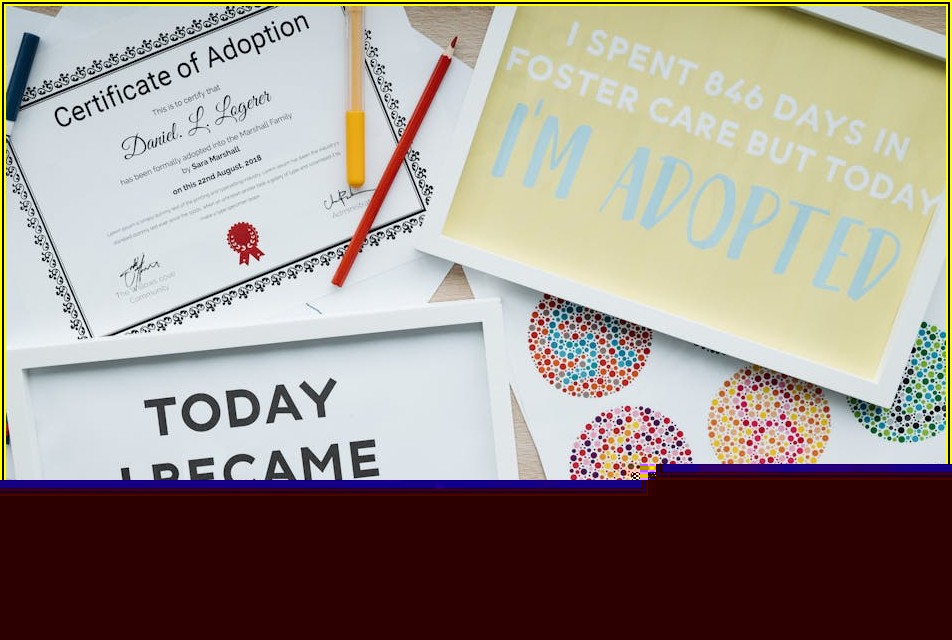 자격증으로 열리는 나의 멋진 커리어 로드맵