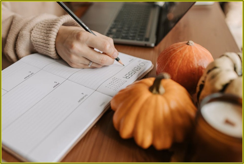 균등 배분? 비례 배분? 공모주 청약, 무엇이 유리할까