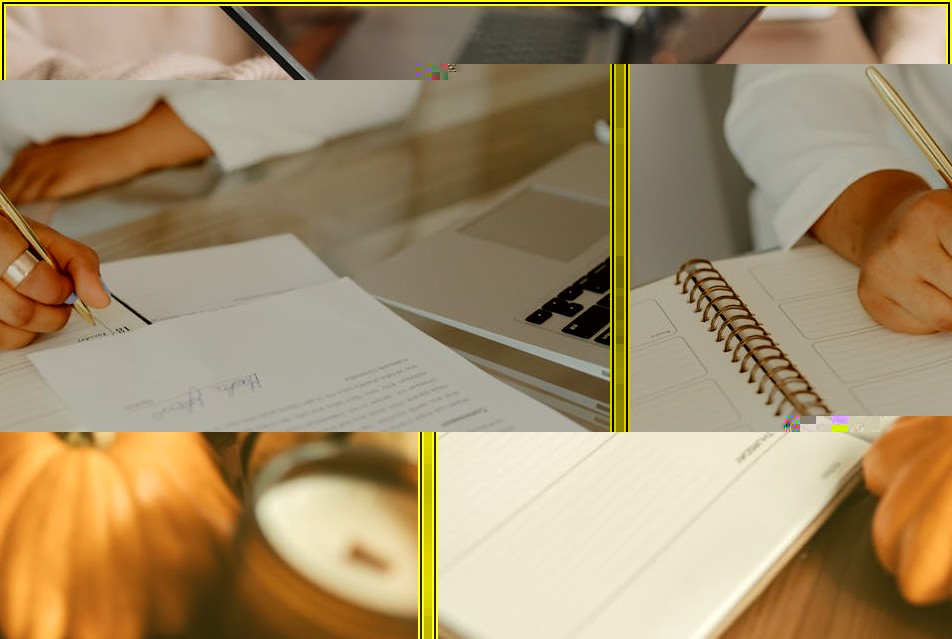 공모주 청약 성공 팁: 균등 vs 비례 배분 전략