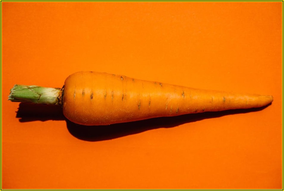 탁월한 품질 경영, 성공 사례 속 비밀 파헤치기