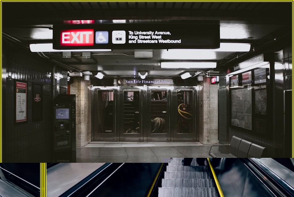 인재 발굴의 새로운 기준, 채용 플랫폼 활용법