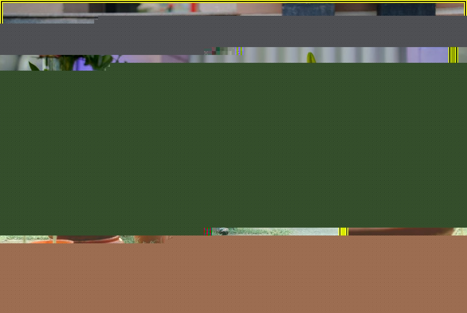 풍선 부케, 특별한 날을 위한 감동 선물 만들기