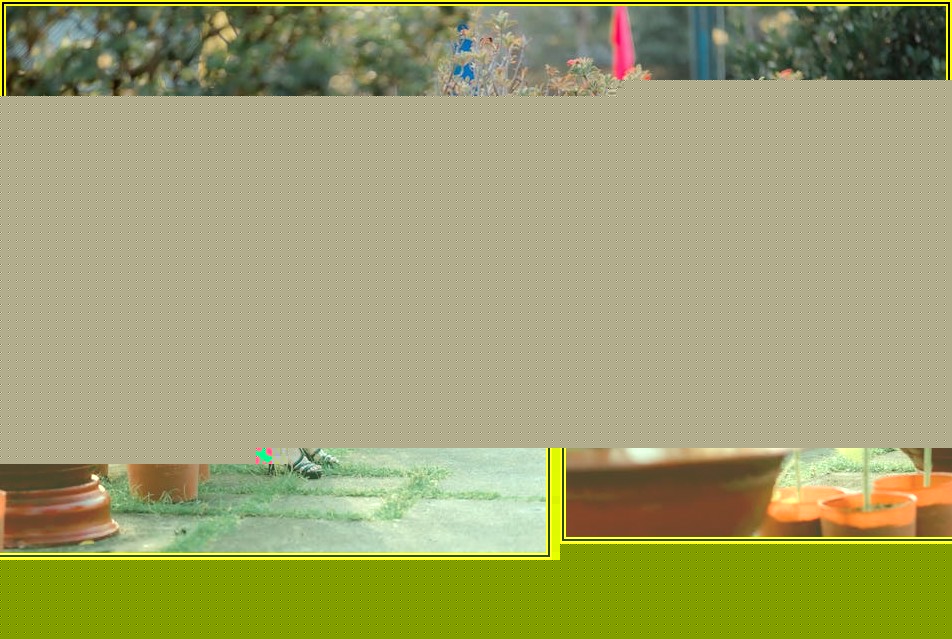 풍선 부케, 특별한 날을 위한 감동 선물 만들기