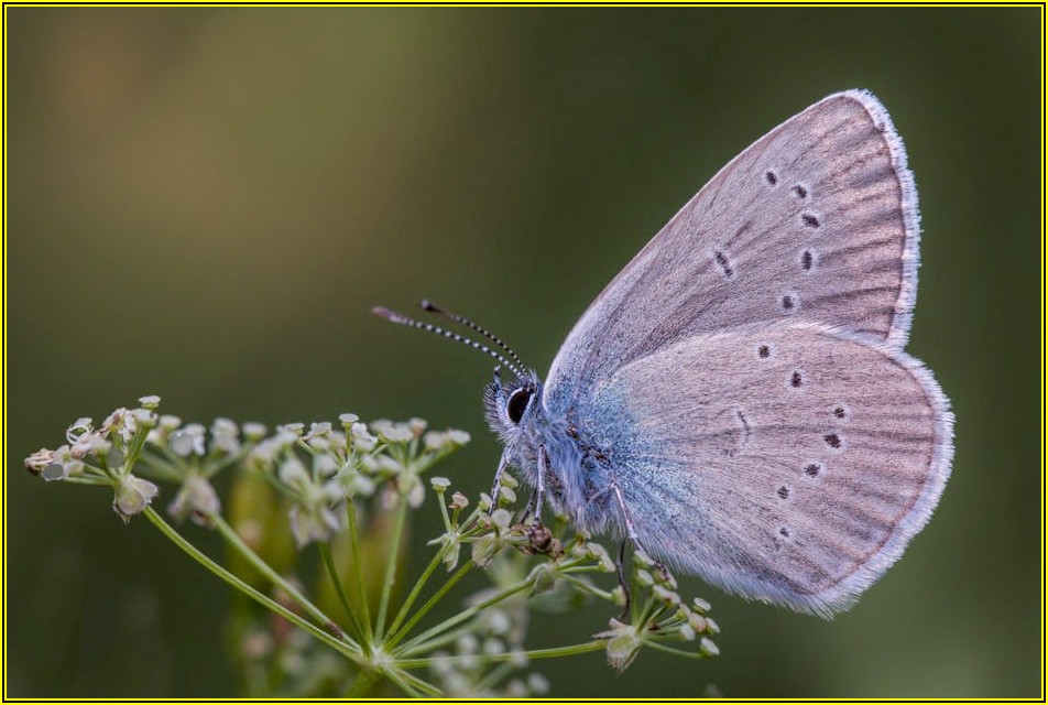 소량 문서 파쇄, 비용 아끼고 지구 지키는 현명한 방법