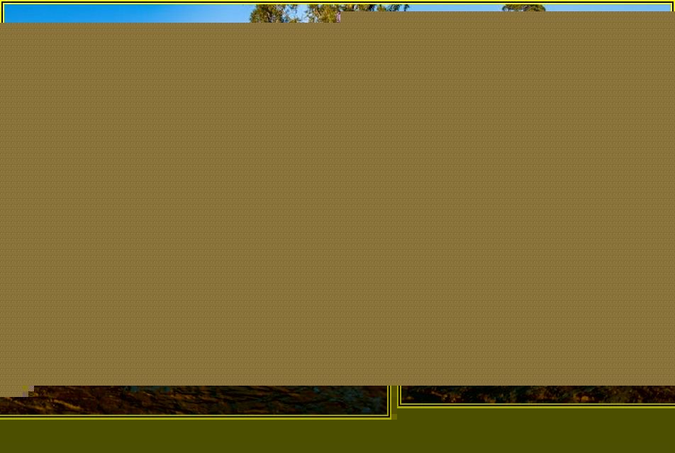 내 손안의 샌딩기: 완벽 사용법 A to Z 공개