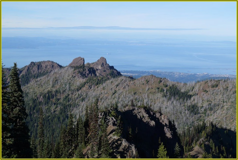 주방 후드 청소, 냄새 제거하고 깔끔하게 사용하는 꿀팁