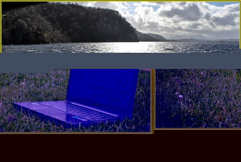 삼성 블루스카이 공기청정기, 성능 완벽 분석