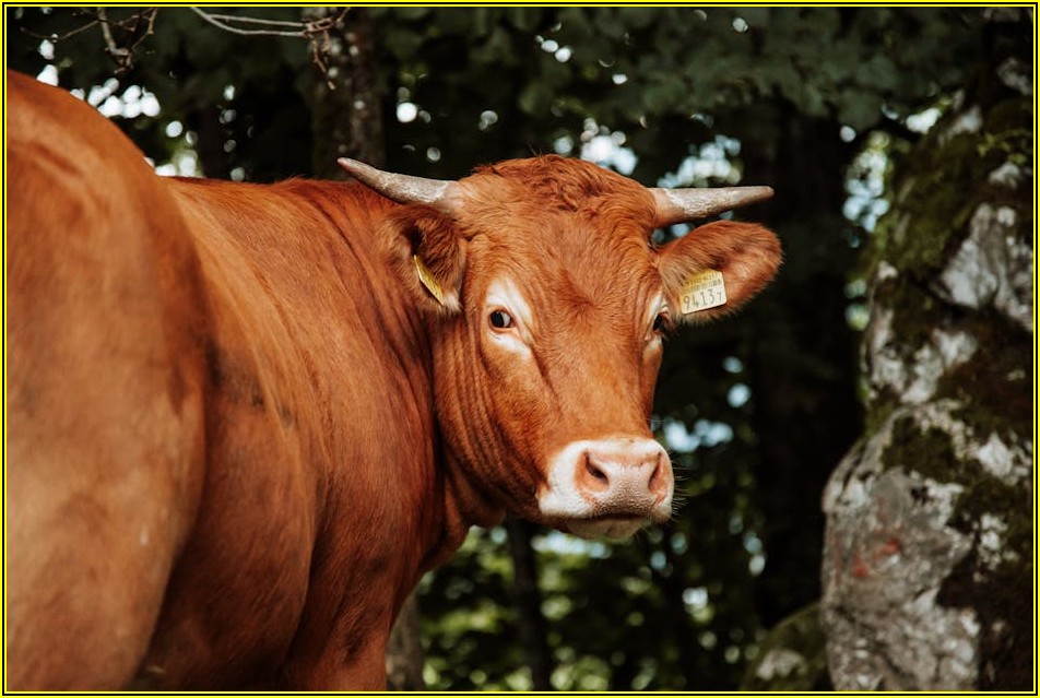 실리콘 네임택, 센스있는 아이템 쇼핑 가이드