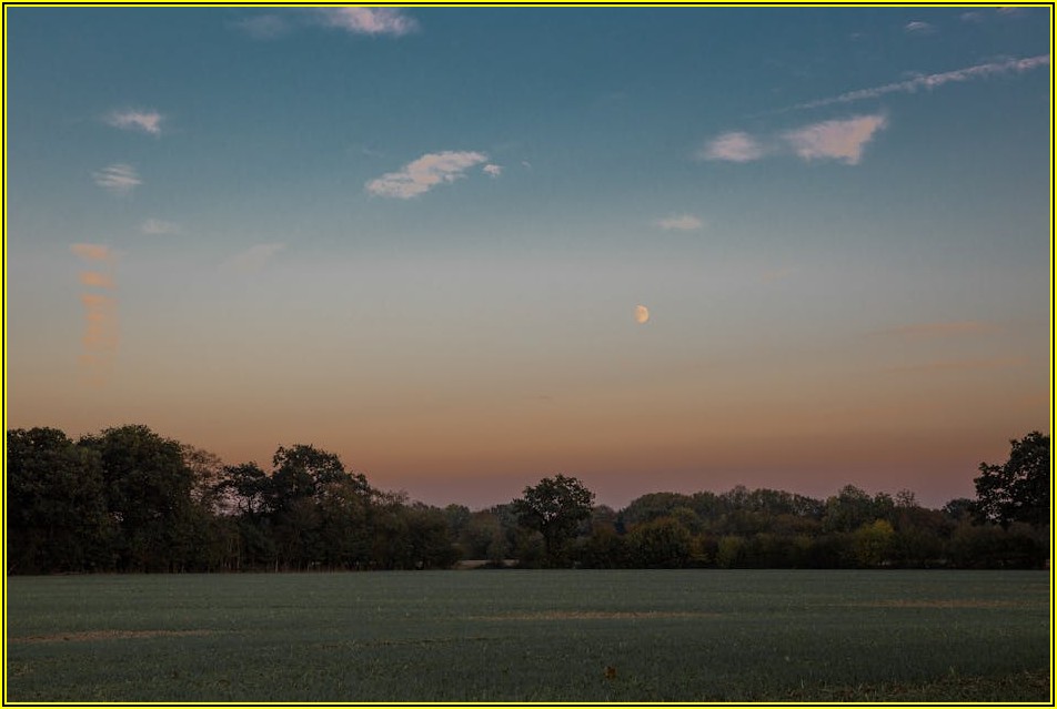 시간 여행 떠나는 경성 술집, 낭만과 역사의 만남