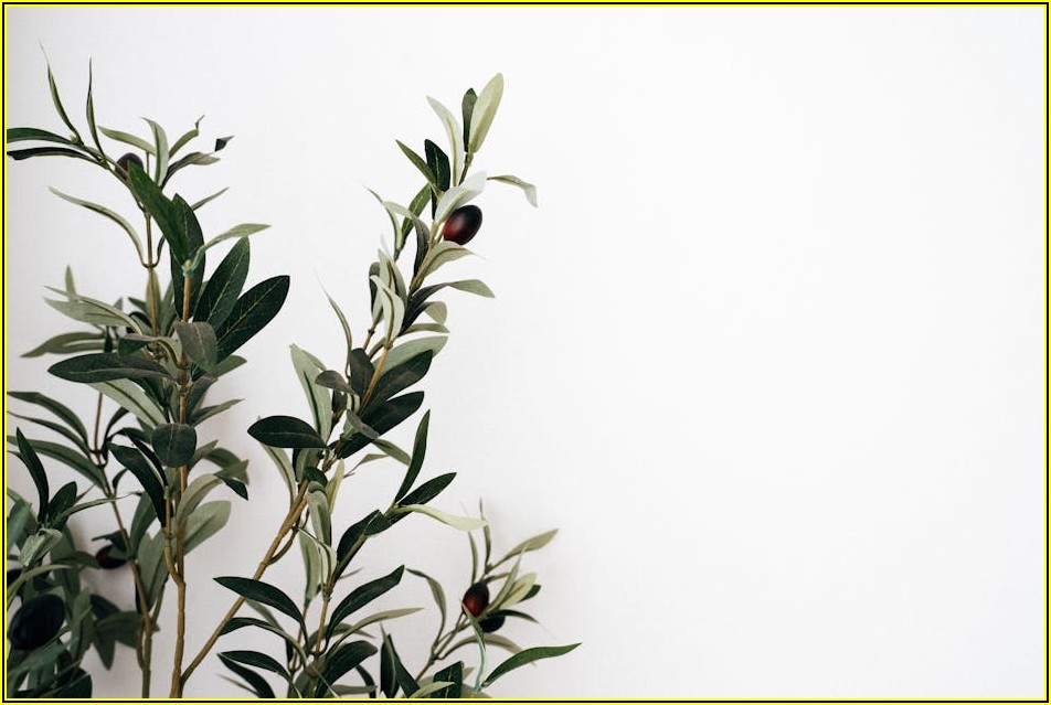 울산 도배 학원 선택, 후회 없이 고르는 법