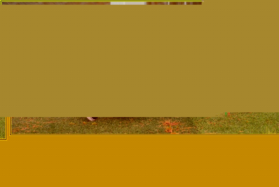 똑똑한 선택, 프로젝트 방충망 종류별 기능과 설치 꿀팁